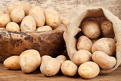 《死噛》新作登陆Steam 心理恐怖ADV名作